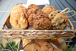 A GARDEN WEDDING RECEPTION